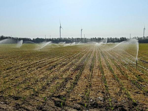 华北黄淮局地干旱持续 应继续抓好抗旱保苗 华北黄淮局地干旱持续 应继续抓好抗旱保苗